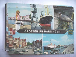 Nederland Holland Pays Bas Harlingen Met Zeehondje, Veerboot, Auto's - Harlingen