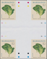 Thematik: Flora, Botanik / Flora, Botany, Bloom: 2008, Barbados. Algae. Complete Set (4 Values) In 3 - Other & Unclassified