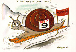 France Postcard 1992 Albertville Olympic Games - Mint (DD29-44) - Winter 1992: Albertville