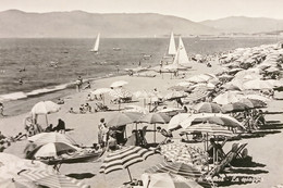 Cartolina - Marina Di Massa - La Spiaggia - 1960 Ca. - Massa