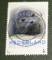 Nederland - NVPH - 3013-Aa-15 - Zoogdieren - 2013 - Persoonlijke Gebruikt - Gewone Zeehond - Personalisierte Briefmarken