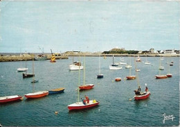 Roscoff Le Port De Plaisance - Roscoff