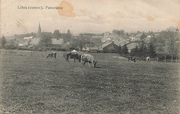 LIBIN (Centre) - Panorama (avec Ruminants à L'avant Plan) - Carte Circulé Avec Cachet Postal Allemand 15 Mars 1915 - Libin