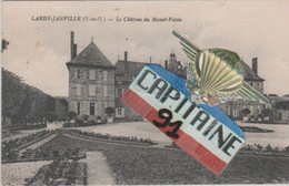 CPA LARDY JANVILLE ESSONNE LE CHATEAU DU MESNIL VOISIN  X X - Lardy