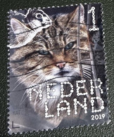 Nederland - NVPH - Xxxx - 2019 - Gebruikt - Beleef De Natuur - Wilde Kat - Gebruikt