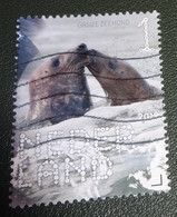 Nederland - NVPH - Xxxx - 2019 - Gebruikt - Beleef De Natuur - Grijze Zeehond - Used Stamps