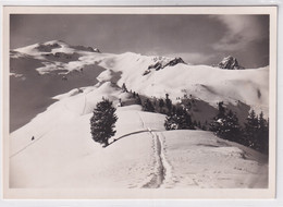 Flumserberg - Aufstieg Zum Maskenkamm - Berg