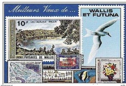 FDC Voeux 1991. Wallis Et Futuna. - Maximumkarten