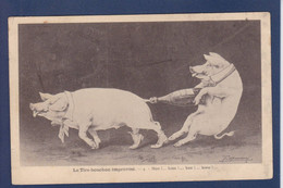 CPA Cochon Pig Caricature Satirique Circulé Surréalisme Position Humaine Tire Bouchon - Pigs