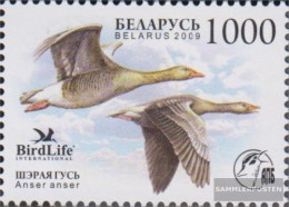 Weißrussland 762 (complete Issue) Unmounted Mint / Never Hinged 2009 Birds Of Year - Bielorussia