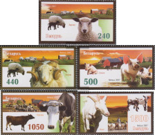 Weißrussland 694-698 (complete Issue) Unmounted Mint / Never Hinged 2007 Pets - Bielorussia