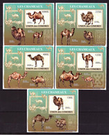 Comoros, 2009. [cm09L01] Fauna, Camels (lux-blocks) - Sonstige