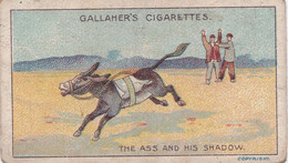 63 The Ass & The Shadow, Fables & Their Morals 1922  - Gallaher Cigarette Card - Original - Antique - Gallaher