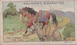 41 The Horse & The Ass, Fables & Their Morals 1922  - Gallaher Cigarette Card - Original - Antique - Gallaher