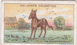 70 The Boasting Mule, Fables & Their Morals 1922  - Gallaher Cigarette Card - Original - Antique - Gallaher