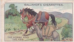 41 The Horse & The Ass, Fables & Their Morals 1922  - Gallaher Cigarette Card - Original - Antique - Gallaher