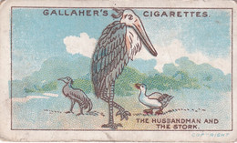 40 The Husbandman & The Stork,  Fables & Their Morals 1922  - Gallaher Cigarette Card - Original - Antique - Gallaher