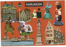 Harlingen - (Friesland, Nederland) - Nr. L 7463 - Harlingen