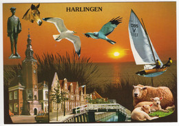 Harlingen - (Friesland, Nederland) - Nr. L 7462 - Harlingen