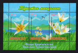 Kyrgyzstan 2021 Flora. Flowers. Turkestan Tulips. Birds Swallows. Mountains. M/S Perf** - Kyrgyzstan