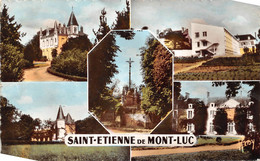 ¤¤  -  SAINT-ETIENNE-de-MONTLUC    -  Multivues     -  ¤¤ - Saint Etienne De Montluc
