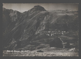 Vénosc / Alpe De Vénosc - Alt. 1644 M. - Vénosc