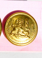 BOUTON UNIFORME - MILITAIRE - ARMEE DU NEGUS HAÏLE SELASSIE - LION AVEC COURONNE - D:17mm / TRES RARE         (2202.02') - Bottoni