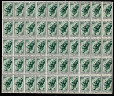 1936 VATICAN 5c Mi.51 SHEET OF 50 MNH - Neufs