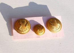 3 ANCIEN BOUTON / BUTTON UNIFORME MILITAIRE - ARMEE DE L'AIR - P.B.T / T.W & W / BOURDON D:16,22mm / RARE (2202.07) - Bottoni