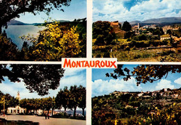 MONTAUROUX   ( VAR )  MULTI-VUES - Montauroux