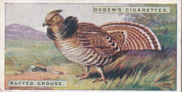 22 Ruffed Grouse - Foreign Birds 1924 - Ogdens  Cigarette Card - Original - Wildlife - Ogden's