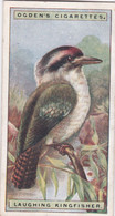 28 Laughing Kingfisher - Foreign Birds 1924 - Ogdens  Cigarette Card - Original - Wildlife - Ogden's
