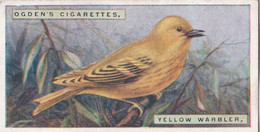 48 Yellow Warbler  - Foreign Birds 1924 - Ogdens  Cigarette Card - Original - Wildlife - Ogden's