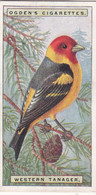 42 Western Tanager - Foreign Birds 1924 - Ogdens  Cigarette Card - Original - Wildlife - Ogden's