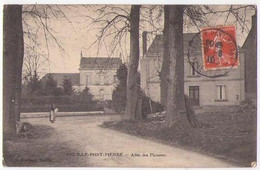 (37) 428, Neuillé Pont Pierre, Bontemps, Allée Des Platanes - Neuillé-Pont-Pierre