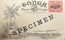 ENTIER  CARTE POSTALE  DES TONGA SURCHARGEE SPECIMEN  LETTRE COVER - Tonga (...-1970)