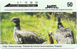 Uruguay - Entel (Tamura) - Estación De Cría De Fauna, Chajá, 08.1996, 50U, 550.000ex, Used - Uruguay