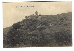 Delcampe - 25  Andenne - Le Calvaire - Andenne