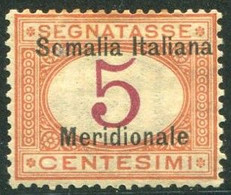 SOMALIA 1906 SEGNATASSE 5 C. * GOMMA ORIGINALE - Somalië