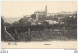 FLORENVILLE ..-- Nels 40 , N° 187 . Panorama . - Florenville