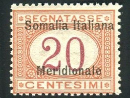 SOMALIA 1906 SEGNATASSE 20 C. ** MNH - Somalië