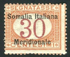 SOMALIA 1906 SEGNATASSE 30 C. ** MNH - Somalie