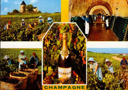 LA CHAMPAGNE ET LE CHAMPAGNE  _ MULTI-VUES - Champagne - Ardenne