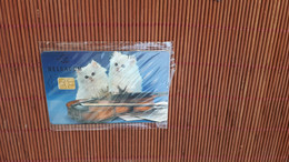 CP-P 28 Cats New With Blister Very  Rare - Avec Puce
