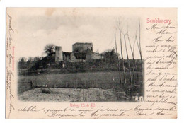 (37) 1488, Semblançay, Baveux, Ruines, Dos Non Divisé - Semblançay