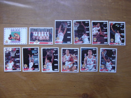 1995 Carte Basketball Panini EQUIPE SLUC NANCY LES COUGUARS Basket FFBB - Altri & Non Classificati