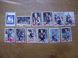 1995 Carte Basketball Panini EQUIPE MONTPELLIER Basket FFBB - Otros & Sin Clasificación