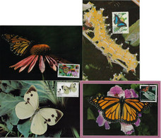 USA Brazil And Portugal Azores 1984 / 2017, 4 Maximum Card Fauna Animal Invertebrate Insect Butterfly - Vlinders