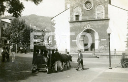 1934 ORIGINAL PHOTO FOTO FUNCHAL MADEIRA PORTUGAL AT - Lugares