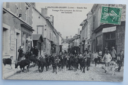 C. P. A. : 45 : CHATILLON COLIGNY : Passage D'un Troupeau De Chèvres Des Pyrénées, Timbre En 1913 - Chatillon Coligny